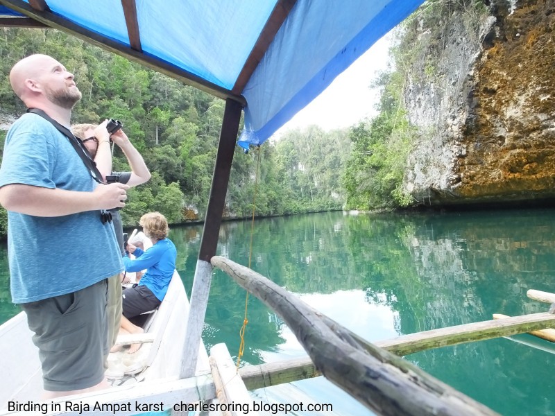 birding in Raja Ampat with American tourists in Kabui karst.