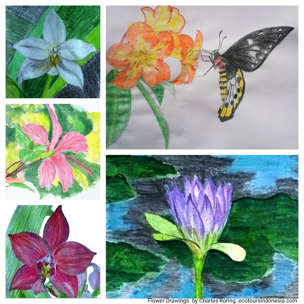 art drawing drawings of flowers