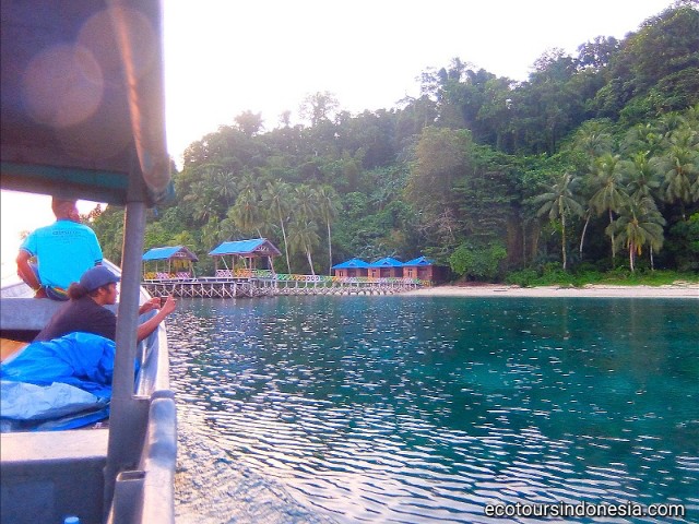 Homestay for snorkeling tourists in Rariyau island of Wondama regency