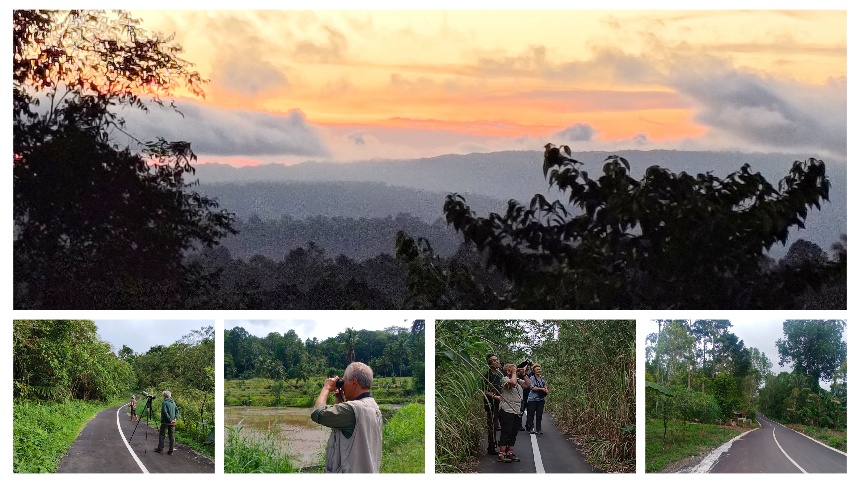 birdwatching Indonesia Birding site in Sonder of Minahasa Peninsula
