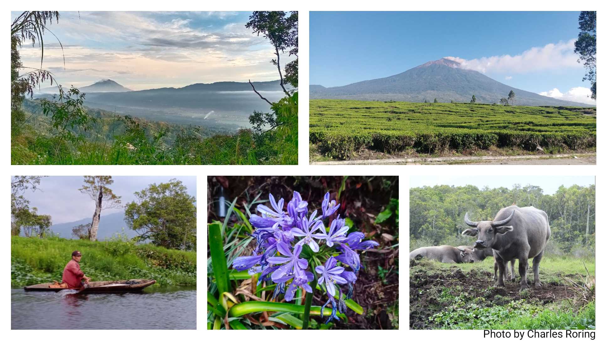 kerinci Seblat National Park