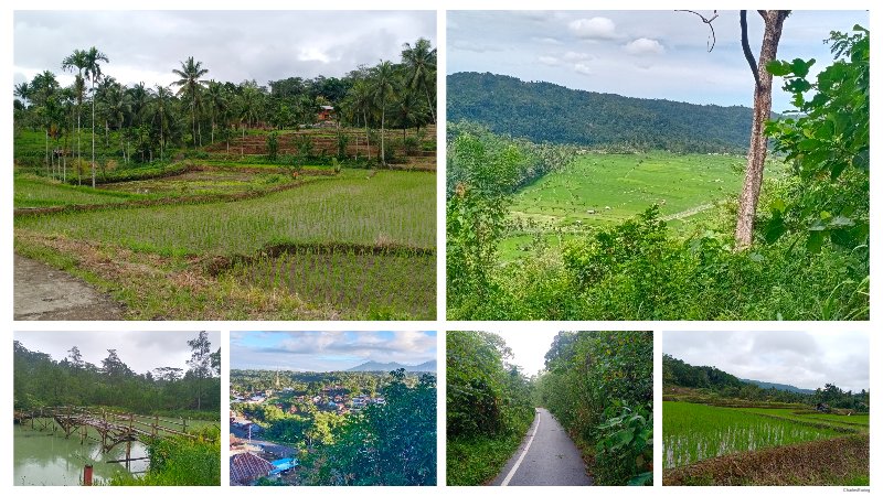 mountain forest paddy field and hot spring in Minahasa