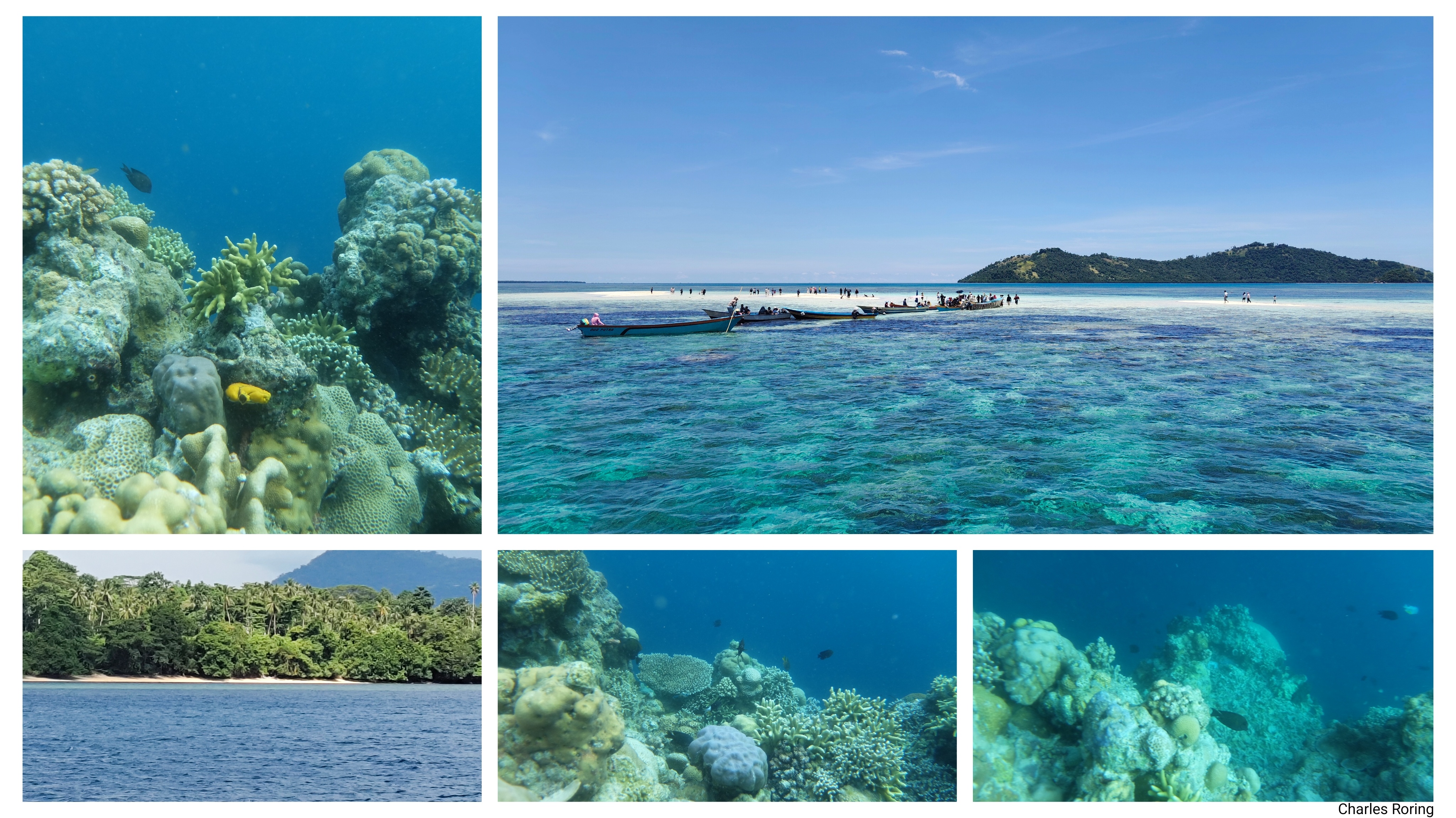 coral reef, white sandy beach in Bunaken island, sand bank Nain atoll