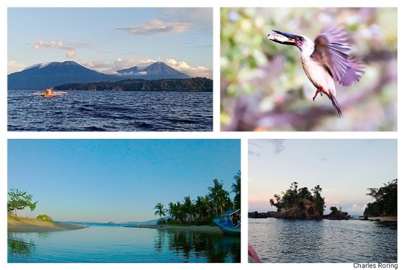 birdwatching in Tangkoko sea tour to naun river