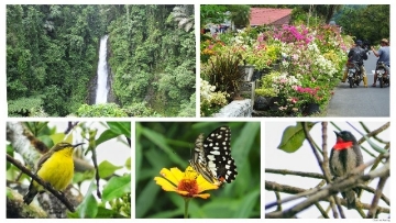 Bunga dan air terjun di Desa Tincep